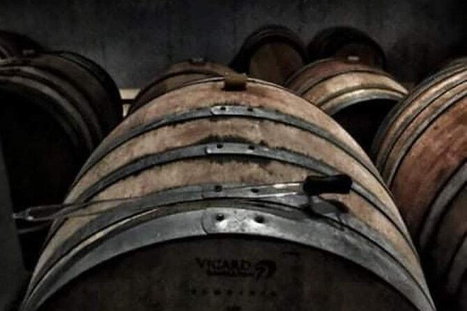 wine-raki-olive-oil-tasting-and-pottery-small-group