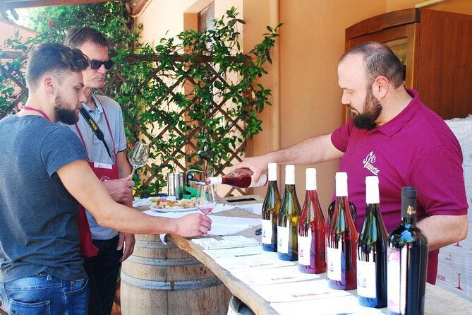 wine-tasting-and-guided-visit-to-the-vineyard-and-cellar-in-s-maria-imbaro-2