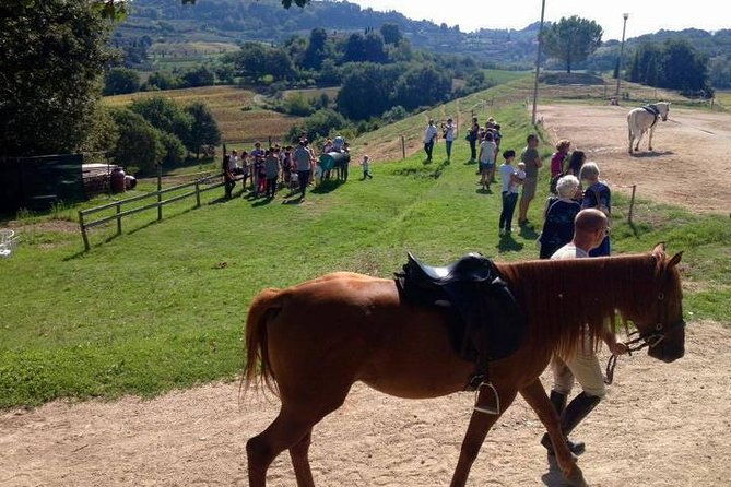 wine-tasting-and-horseback-riding-in-montepulciano-in-tuscany-from-rome