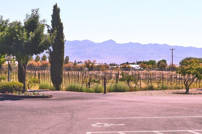 wine-tasting-and-snacks-from-las-vegas-2