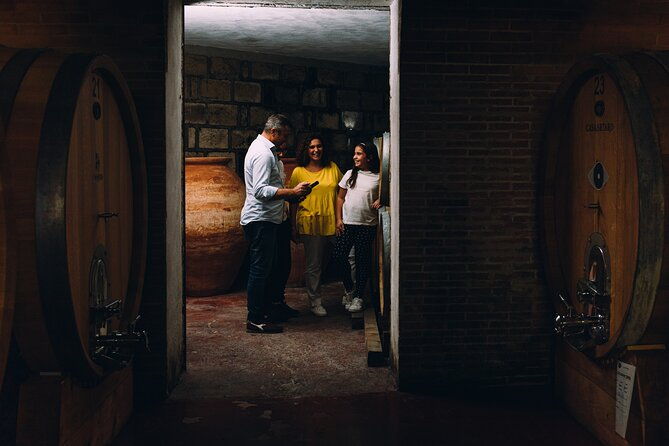 wine-tasting-and-winery-tour-in-vesuvio-national-park-with-lunch