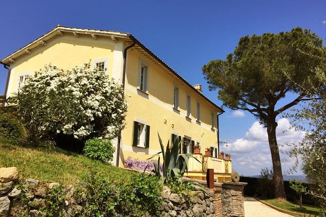 wine-tasting-and-winery-tour