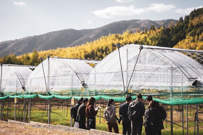 wine-tasting-experience-in-yamaga