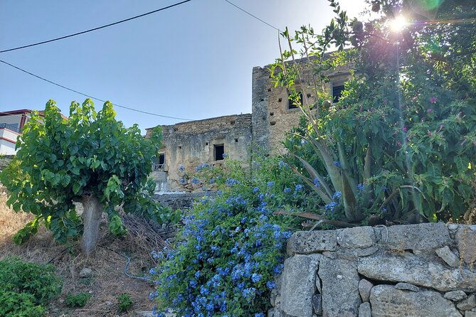 wine-tasting-meet-the-cretan-vineyard-at-west-chania