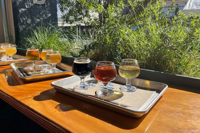 wine-tasting-tours-in-a-vintage-vw-bus-2