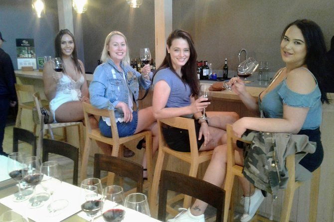 wine-tour-and-santiago-city-in-a-small-group