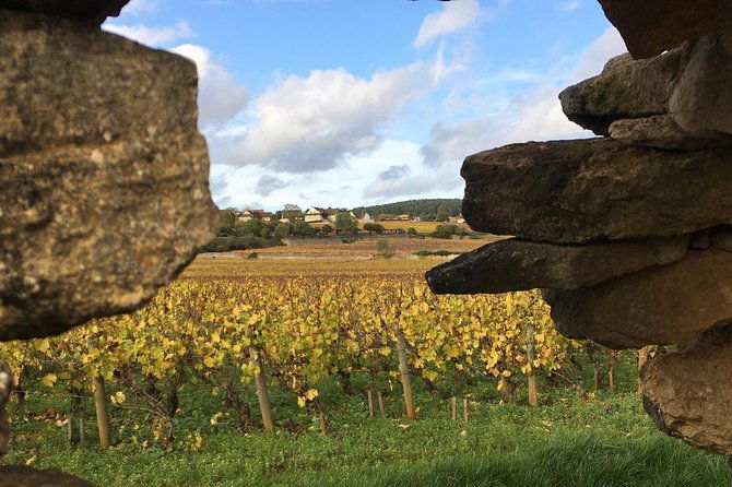 wine-tour-and-tasting-in-burgundy