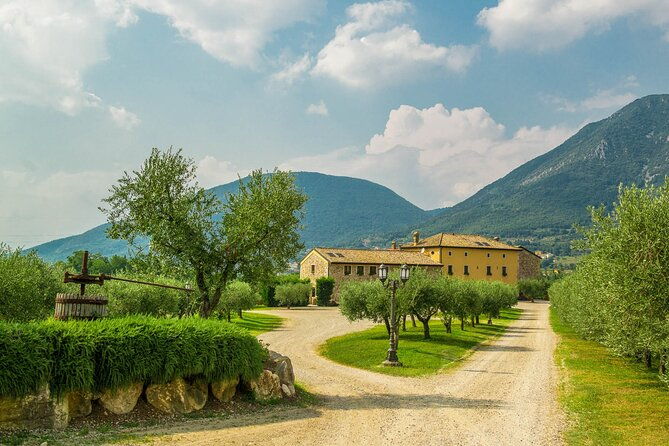wine-tour-and-tasting-on-garda-hills