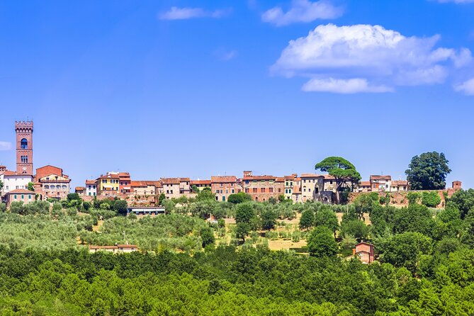 wine-tour-in-the-countryside-of-lucca-with-lunch-with-minivan