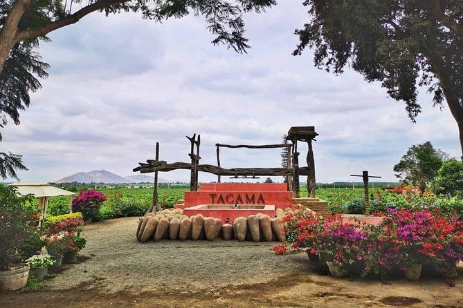 winery-and-pisco-distillery-tour