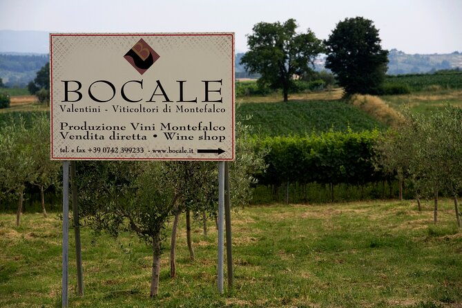winery-tour-and-private-tasting-in-montefalco