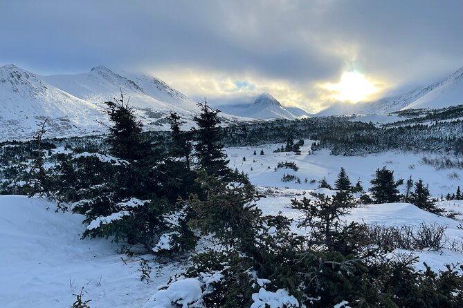winter-snowshoeing-adventure