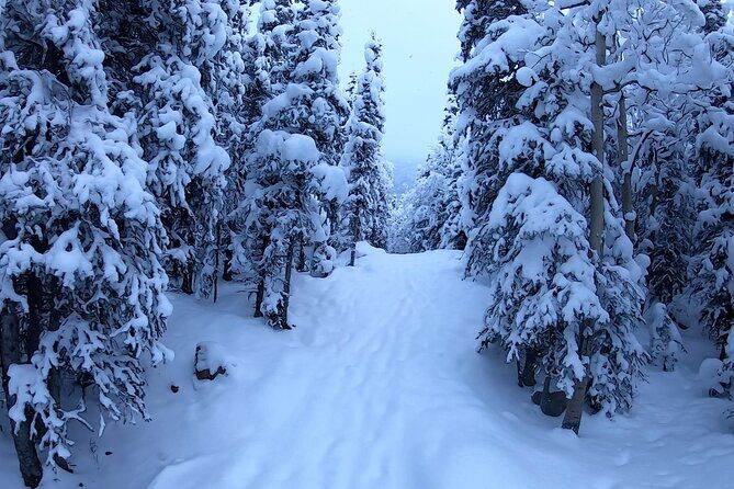 winter-valley-and-forest-hike