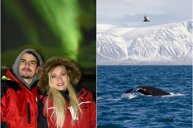 winter-whale-watching-northern-lights-cruise-combo-from-reykjavik