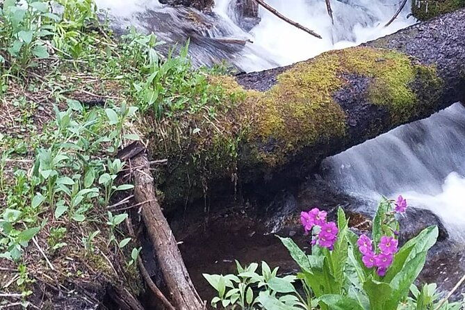 womens-hike-to-ouzel-falls-in-rocky-mountain-national-park
