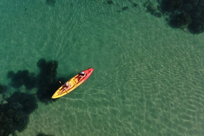 wwf-kayak-tour-from-cala-manbru-to-torre-salsa-reserve-2