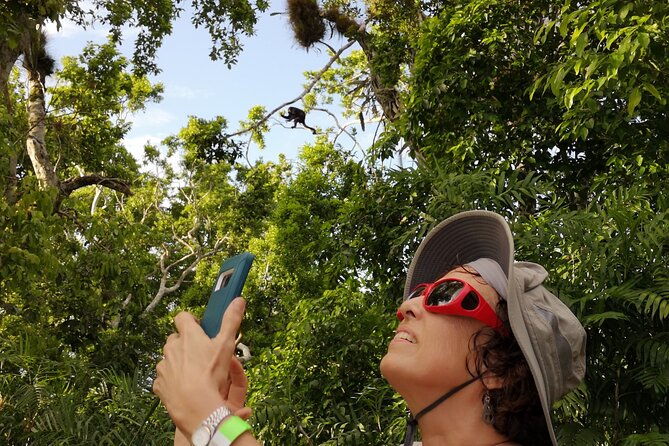yaxha-archaeological-focus-day-tour-with-monkeys-spotting