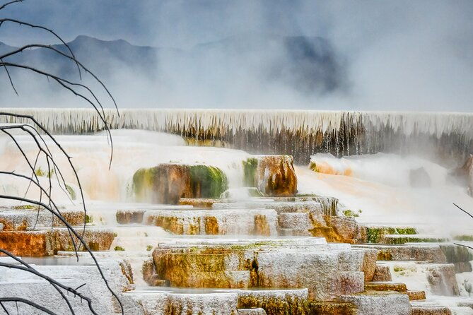 yellowstone-grand-teton-national-parks-private-winter-tour-5-day