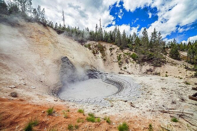 yellowstone-lower-loop-vip-full-day-private-tour-with-lunch-4
