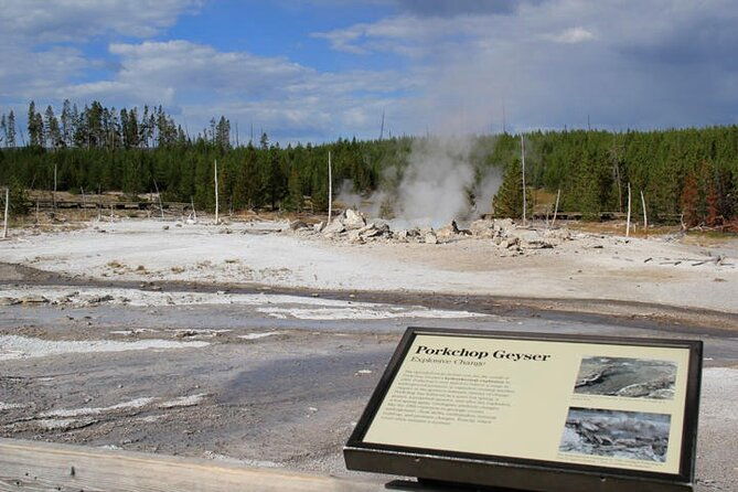 yellowstone-lower-loop-vip-full-day-private-tour-with-lunch