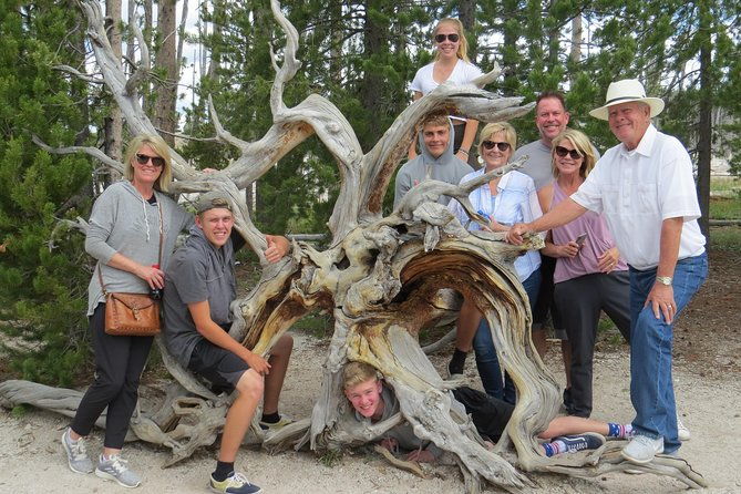 yellowstone-national-park-private-full-day-lower-loop-tour-from-w-yellowstone