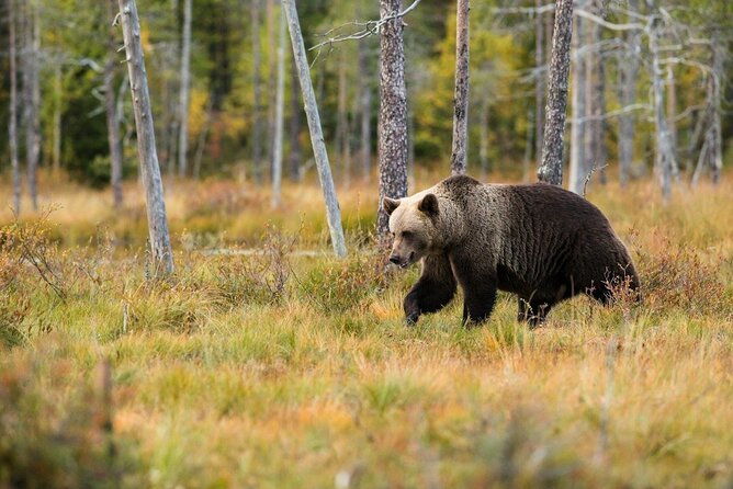 yellowstone-private-full-day-tour