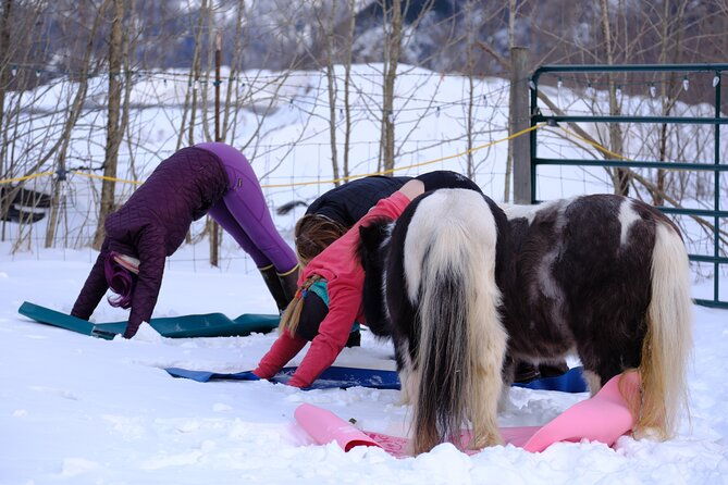 yoga-with-horses