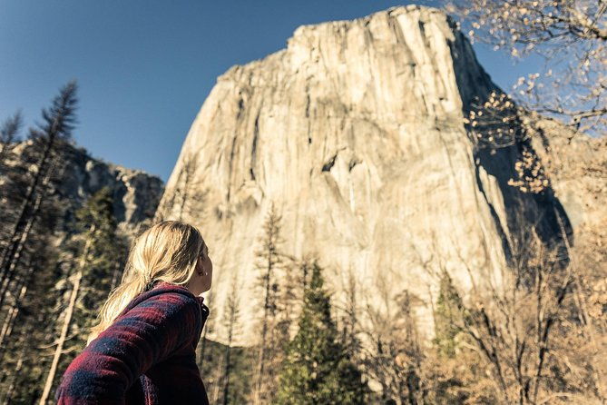 yosemite-national-park-and-giant-sequoias-tour-from-san-jose-2