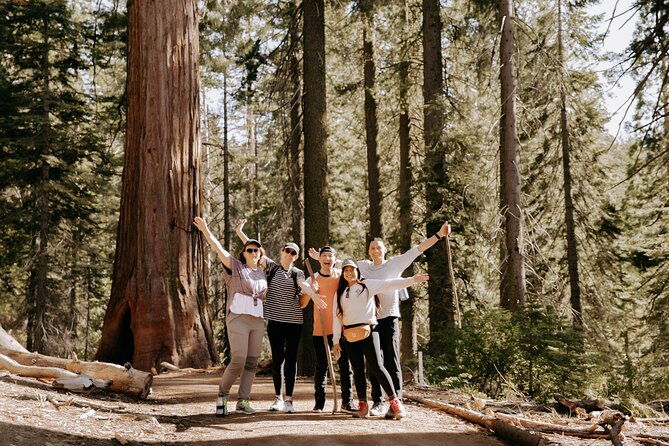 yosemite-national-park-giant-sequoias-2-day-semi-guided-tour-2