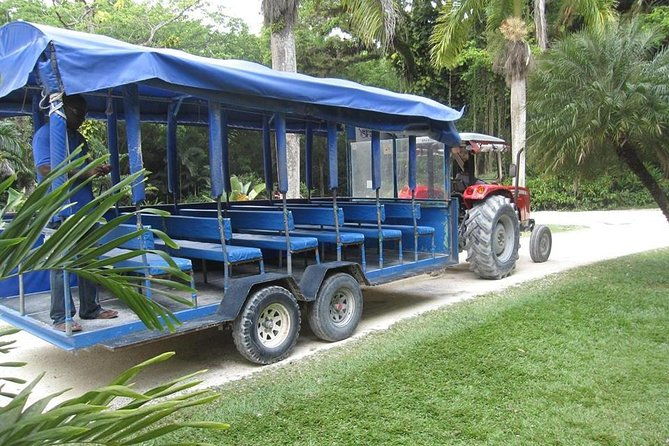 ys-falls-and-the-pelican-bar-adventure-tour-from-montego-bay
