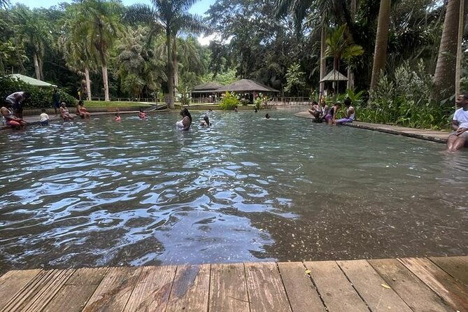 ys-falls-black-river-safari-appleton-rum-tour-or-pelican-bar-choose-up-to-3