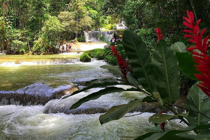 ys-falls-private-tour-2