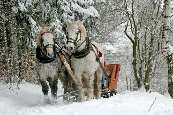 zakopane-horse-drawn-rides-with-local-guide-and-food-tasting