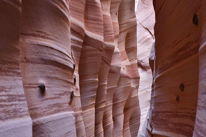 zebra-slot-canyon-hiking-tour-in-escalante-2