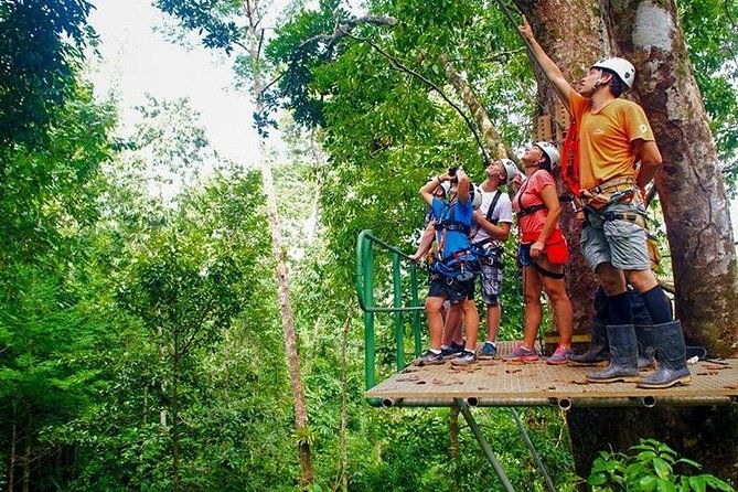 zip-line-half-day-adventure