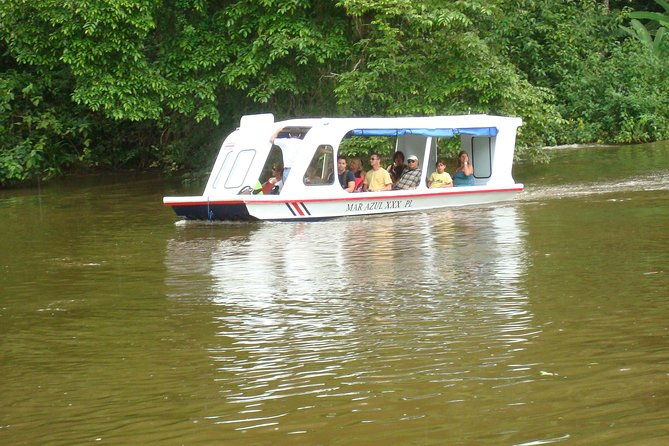 zipline-canopy-tour-tortuguero-canal-boat-tour-shore-excursion-from-limon