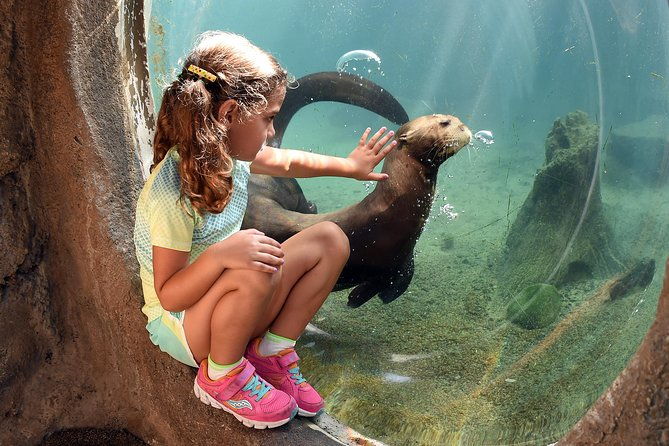 zoo-miami-ticket-with-optional-upgrade