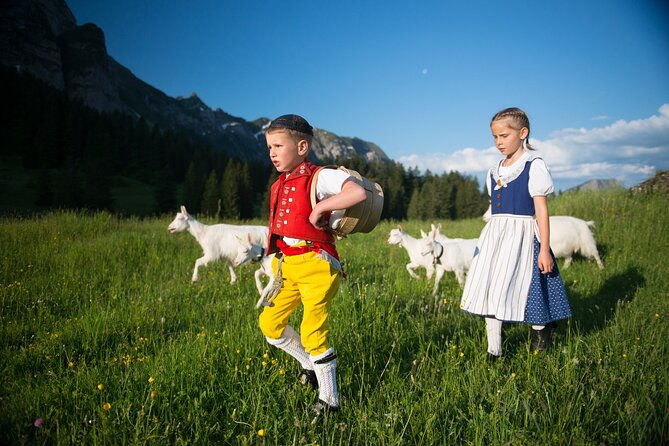 zurich-chocolarium-and-appenzeller-cheese-dairy-tour