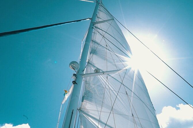 2hrs-dolphins-sunset-sailing-cruise-with-drink