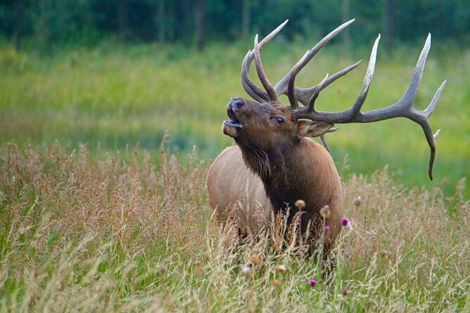 3-4-day-rocky-mountain-np-mountain-to-skybear-lake-rd-tour-rmnphotographer-2