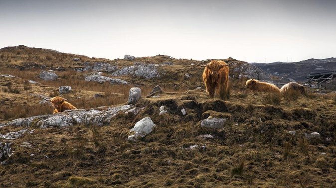 3-day-hebrides-tour-from-inverness-isles-of-lewis-and-harris
