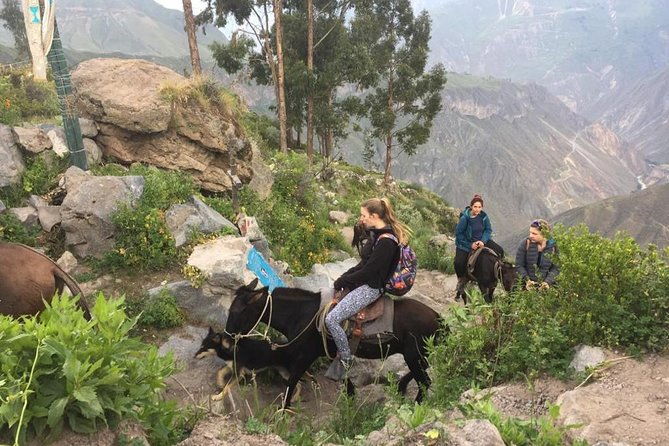 3-day-trek-including-transfer-to-puno-colca-canyon