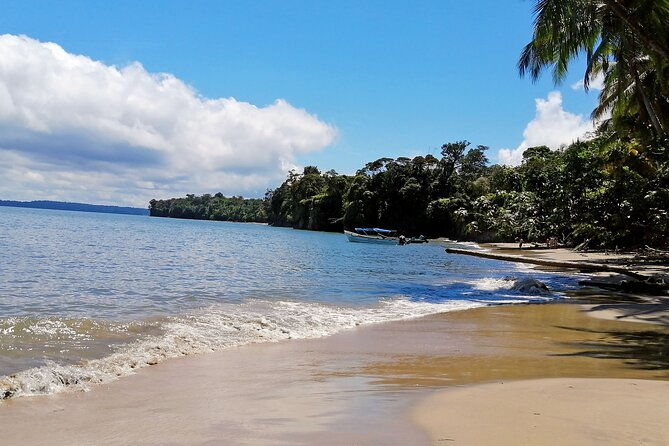 3-days-2-nights-bahia-malaga-humpback-whale-watching