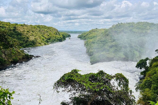3-days-murchison-falls-national-park-safari-rhino-tracking