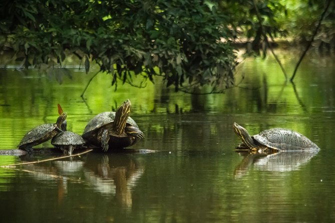 3-days-tortuguero-national-park-eco-adventure-tour