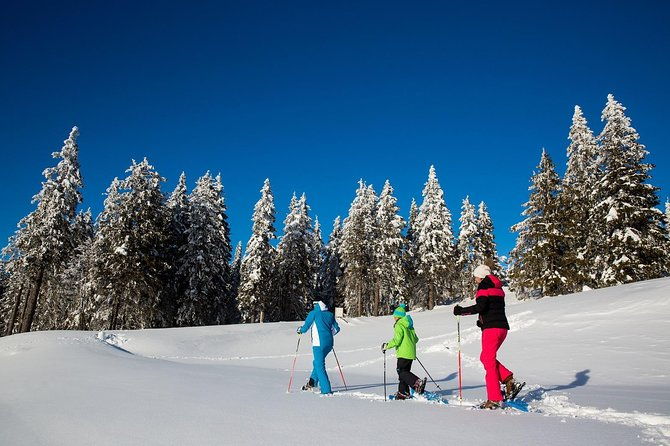 3-hour-guided-snowshoeing-adventure-in-the-slovenian-alps