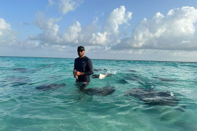3-hour-jet-ski-adventure-swim-with-rays-and-more