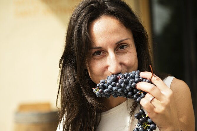 3-hour-private-food-and-wine-experience-in-montalcino