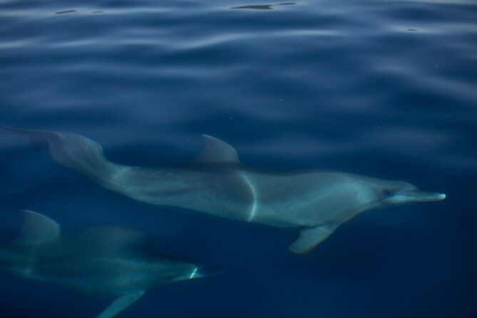 3-hour-private-sunset-sailing-tour-in-pula