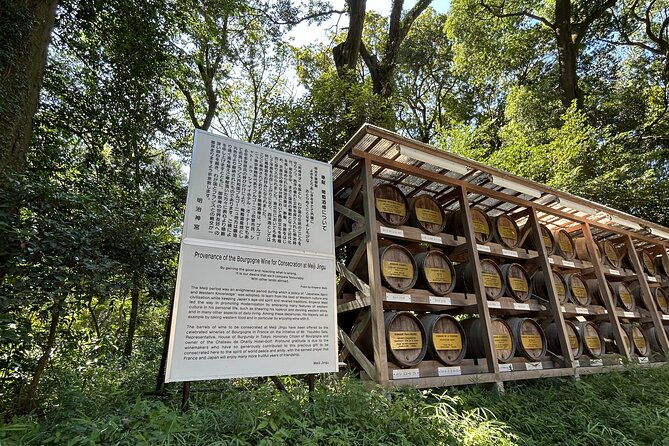 3-hour-private-tokyo-meiji-jingu-shrine-wellness-tour